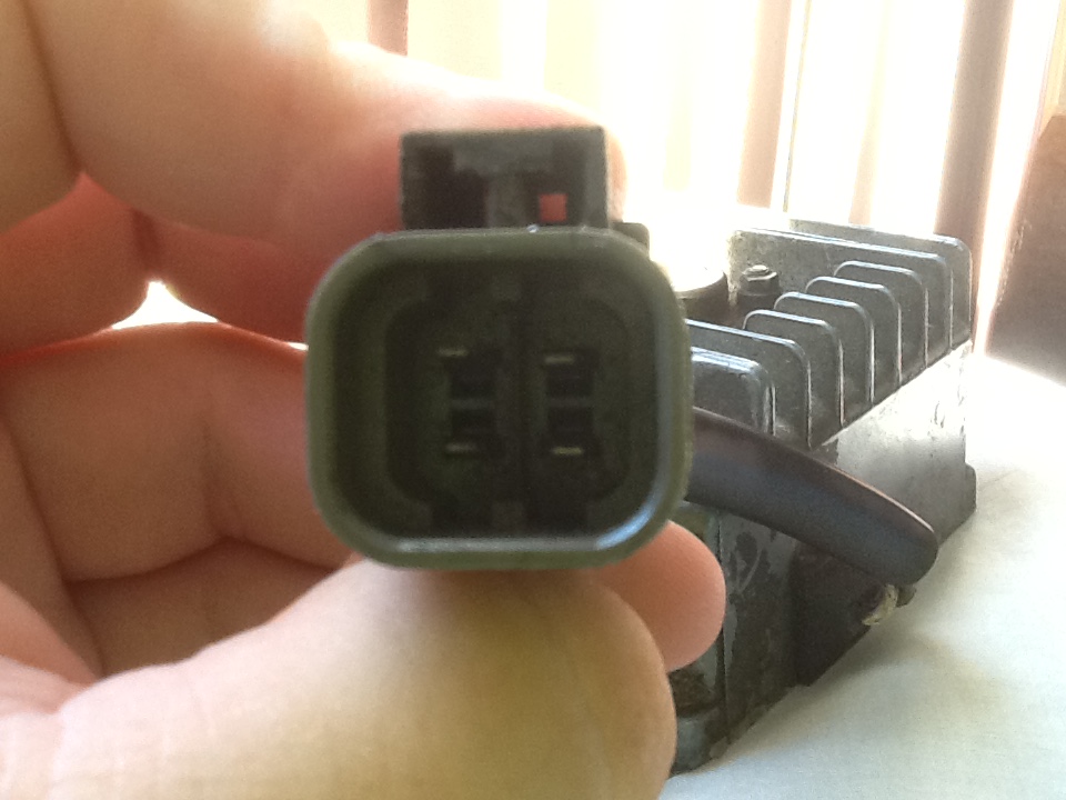 image.jpeg