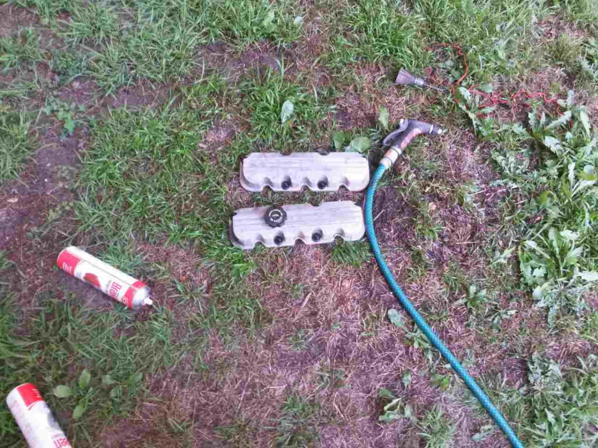 0-02-07-e50852831dea08b7c3d5147c533ef19ebd9eb381542b3320f761e9aad6ac95dc_full.jpg