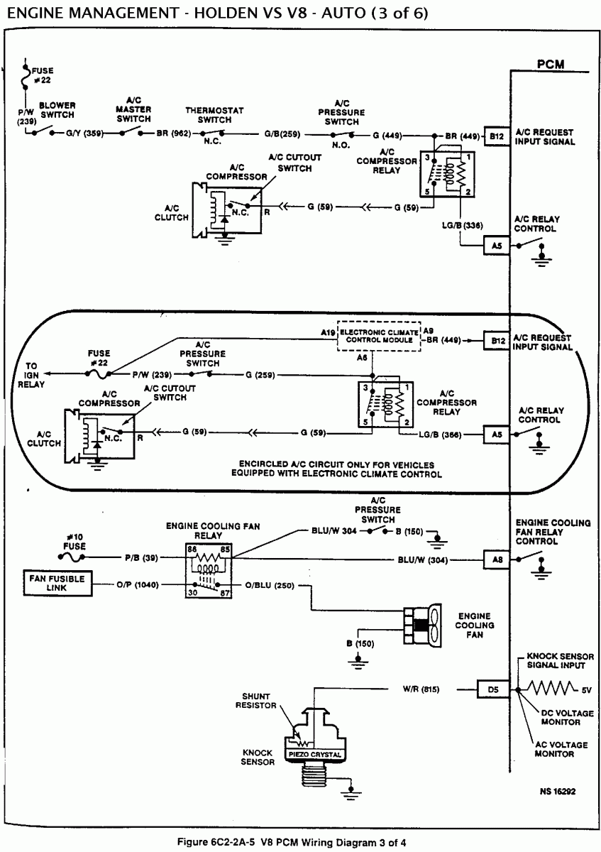 VSV8A-3.GIF