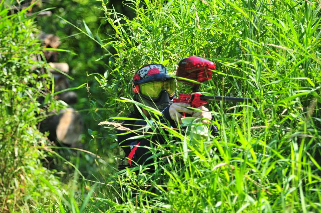 BushballE1-4gbc188.jpg