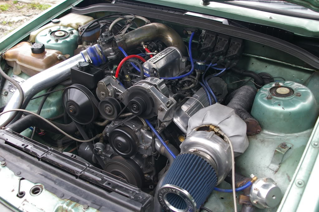 IMGP4161.jpg