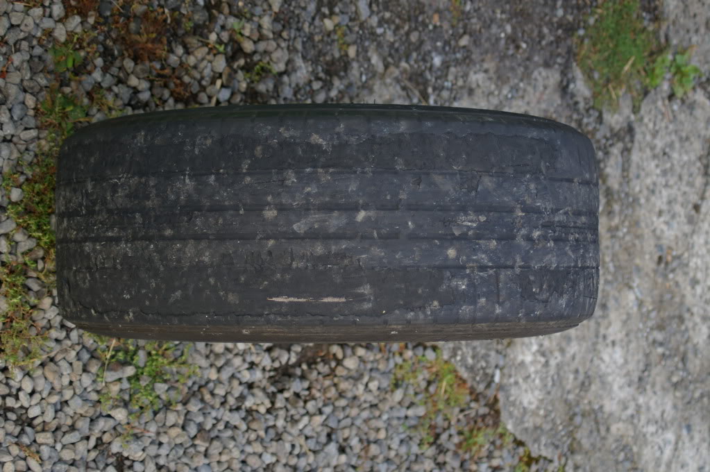 IMGP4861.jpg