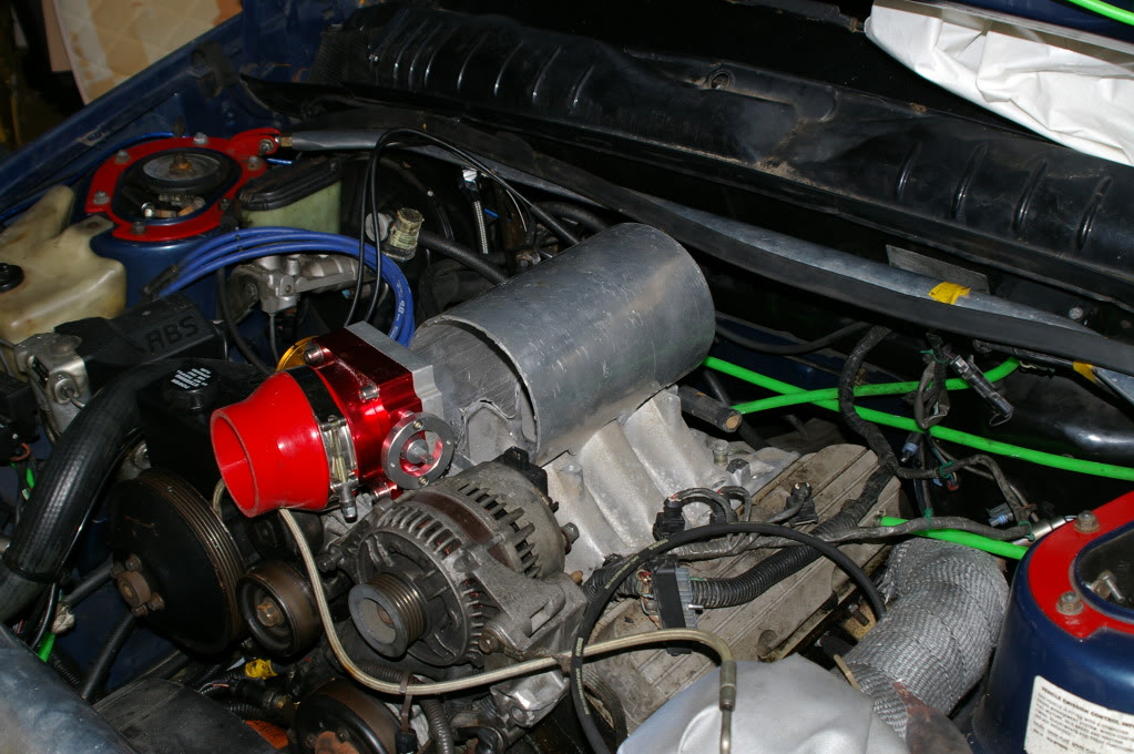 IMGP5463.jpg
