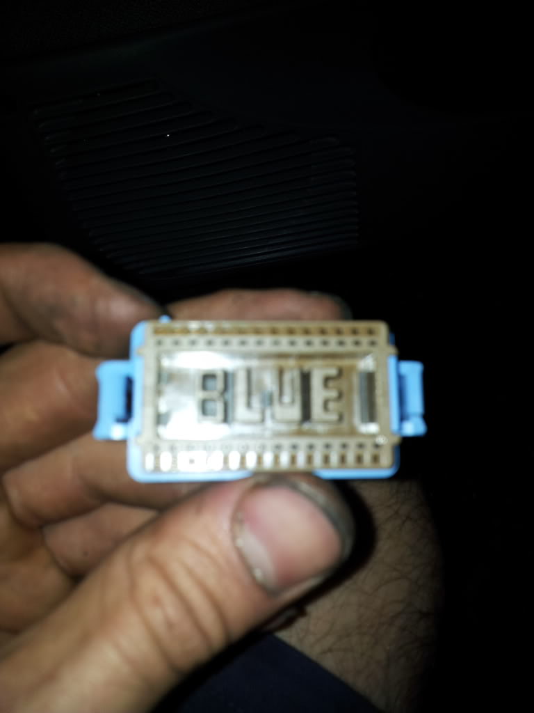 2011-08-19175752.jpg