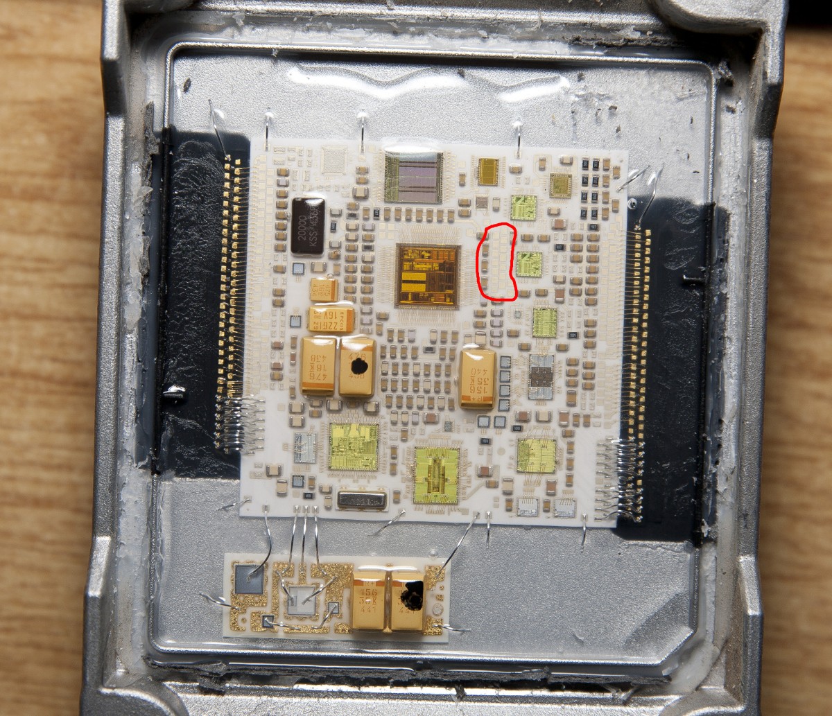 E55BDM.jpg