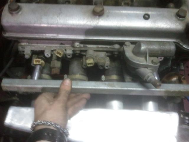 alfa_rail.jpg