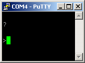 PuTTY_Prompt.png