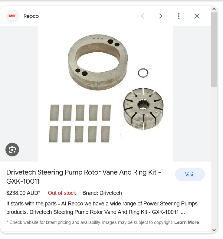 Screenshot 2023-09-17 at 12-11-26 saginaw power steering vane and rotor kit - Google Search.png
