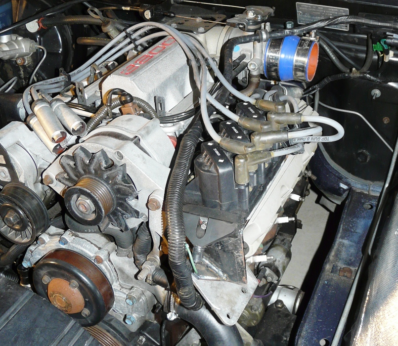 P1100519.jpg